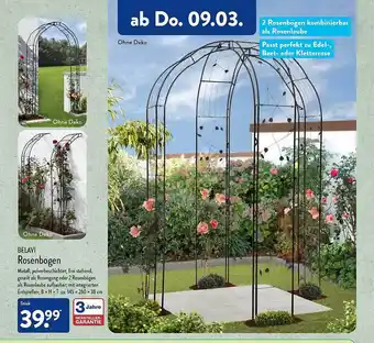 Aldi Nord Belavi rosenbogen Angebot