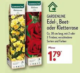 Aldi Nord Gardenline edel-, beet- oder kletterrose Angebot