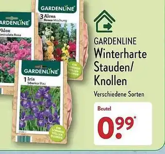 Aldi Nord Gardenline winterharte stauden knollen Angebot