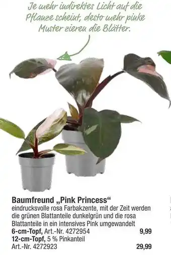 toom Baumarkt Baumfreund „pink princess” Angebot