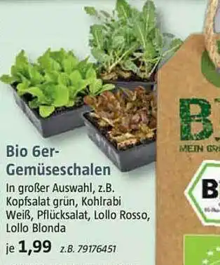 Bauhaus Bio 6er-gemüseschalen Angebot