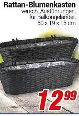 CENTERSHOP Rattan-blumenkasten Angebot