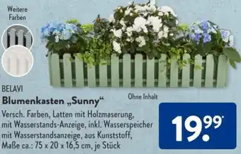 Aldi Süd Belavi Blumenkasten Sunny Angebot