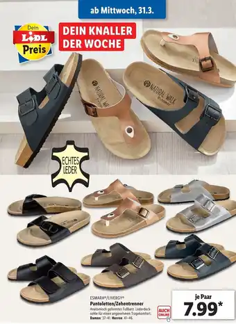 Lidl Esmara/Livergy Pantoletten/Zehentrenner Angebot