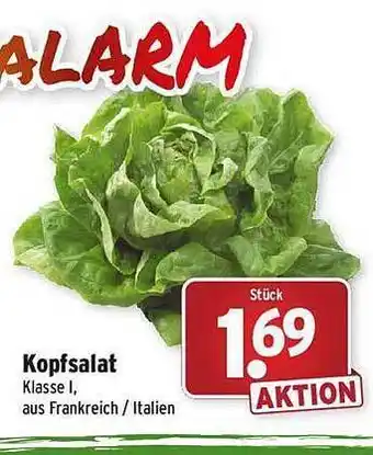 Wasgau Kopfsalat Angebot