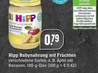 Edeka Hipp Babynahrung Mit Früchten Angebot