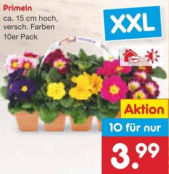 Netto Marken-Discount Primeln Angebot