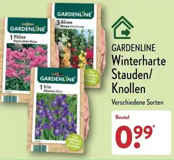 Aldi Nord Gardenline Winterharte Stauden/Knollen Angebot