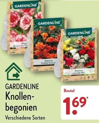 Aldi Nord Gardenline Knollenbegonien Angebot