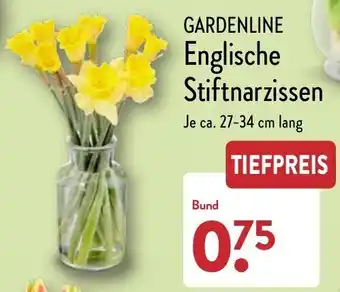 Aldi Nord Gardenline Englische Stiftnarzissen Angebot