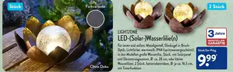 Aldi Nord Lightzone LED (Solar) Wasserlilie(n) Angebot