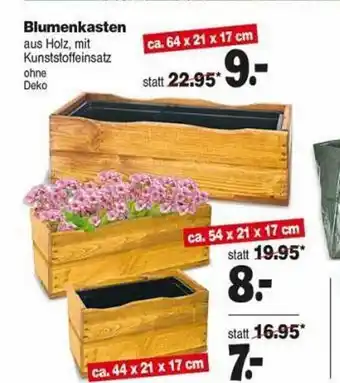 Repo Markt Blumenkasten Angebot