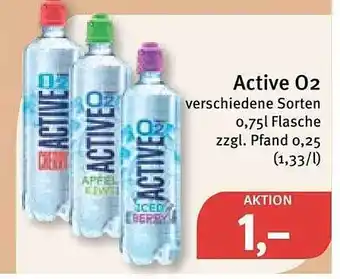 Feneberg Active 02 verschiedene sorten Angebot