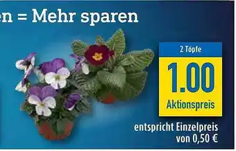 diska Entspricht einzelpreix von Angebot