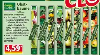 Norma Finest garden obst-bäume Angebot