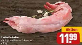 REWE Center Frische Kaninchen 1 kg Angebot