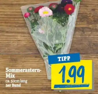 NP Discount Sommerastern Mix Angebot