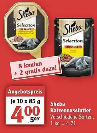 Globus Sheba Katzennassfutter Angebot