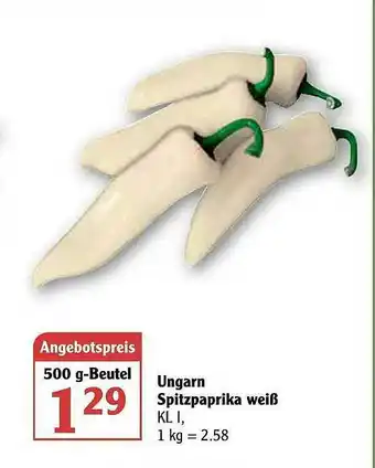 Globus Ungarn Spitzpaprika Weiß Angebot