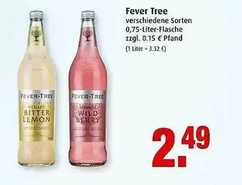 Markant Fever Tree Angebot