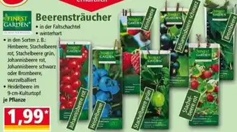 Norma Finest Garden Beerensträucher Angebot