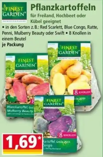 Norma Finest Garden Pflanzkartoffeln Angebot