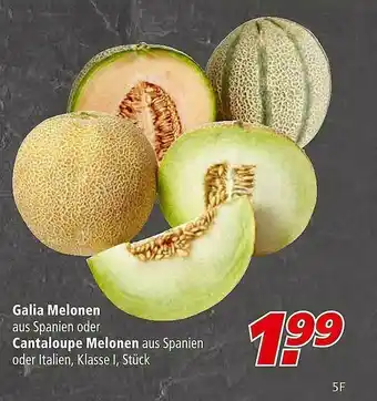 Marktkauf Galia Melonen Oder Cantaloupe Melonen Angebot