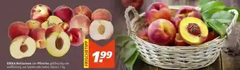 Marktkauf Edeke Nektarinen Oder Pfirsiche Angebot