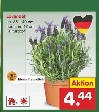 Netto Marken-Discount Lavendel Angebot