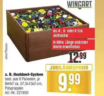 Hellweg Z. B. Hochbeet-system Angebot