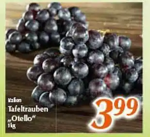 inkoop Tafeltrauben „otello” Angebot