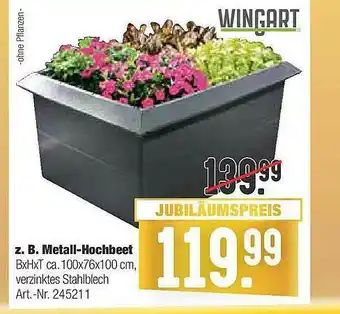 Hellweg Z. B. Metall-hochbeet Wingart Angebot