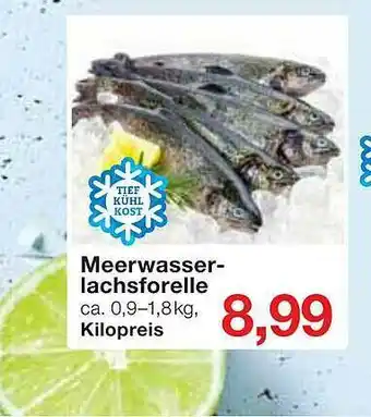 Jawoll Meerwasser Lachsforelle Angebot