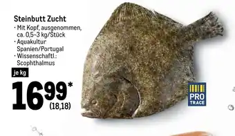 METRO Steinbutt Zucht 1kg Angebot