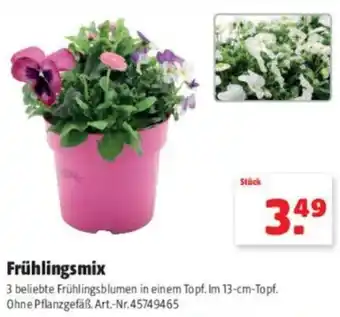 Hagebau Frühlingsmix Angebot