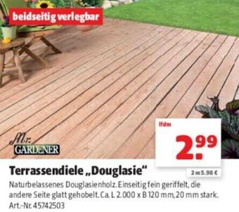 Hagebau Mr. Gardener Terrassendiele Douglasie Angebot