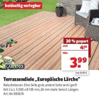 Hagebau Mr. Gardener Terrassendiele Europäische Lärche Angebot