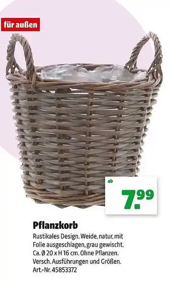 Hagebau Pflanzkorb Angebot