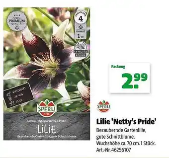 Hagebau Sperli lilie 'netty's pride' Angebot