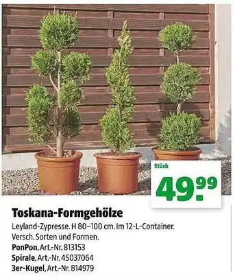 Hagebau Toskana-formgehölze Angebot