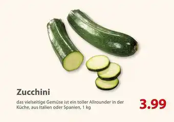 basic Zucchini Angebot