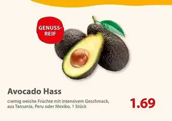 basic Avocado hass Angebot