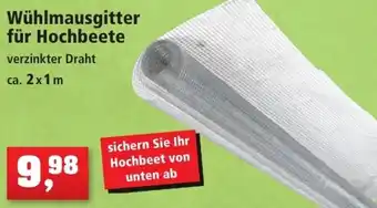 Thomas Philipps Wühlmausgitter für Hochbeete ca. 2x1 m Angebot