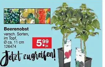 RL-Fundgrube Beerenobst Angebot