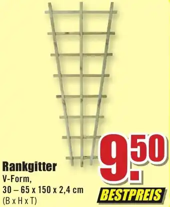 B1 Discount Baumarkt Rankgitter Angebot