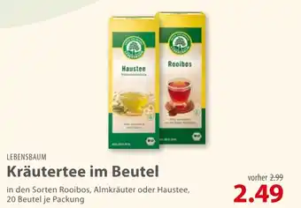 basic Lebensbaum Krautertee 20st Angebot