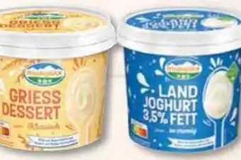 Edeka Frischemarkt Landjoghurt Angebot