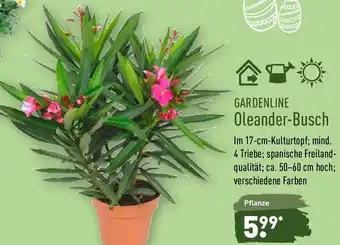 Aldi Nord Gardenline Oleander Busch Angebot