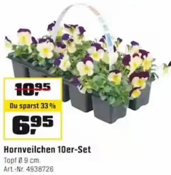 OBI Hornveilchen 10er Set Angebot