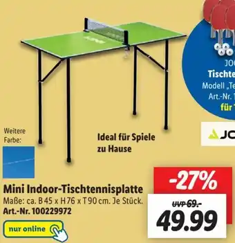 Lidl Mini Indoor Tischtennisplatte Angebot